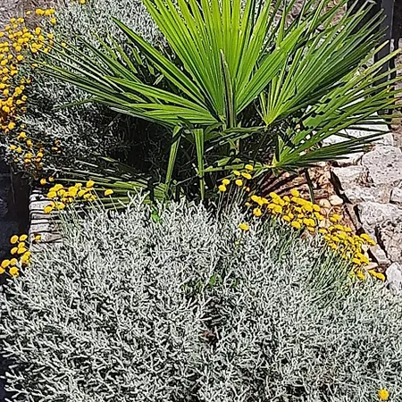 Apartment Jasminka I Vladimir Malinska